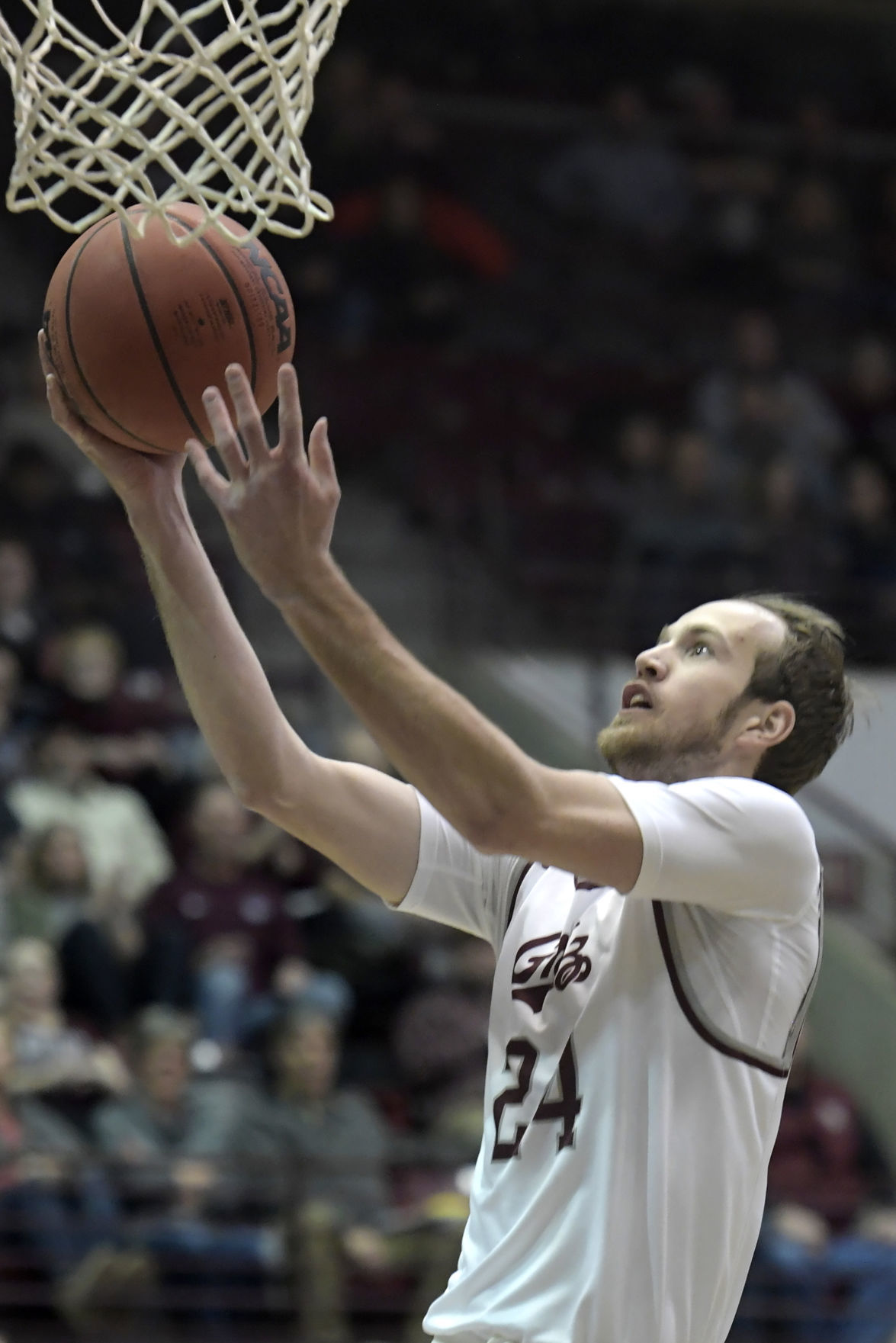 Griz v Idaho-5-tm.jpg